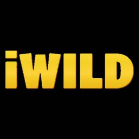 iWild kasyna online na pieniądze